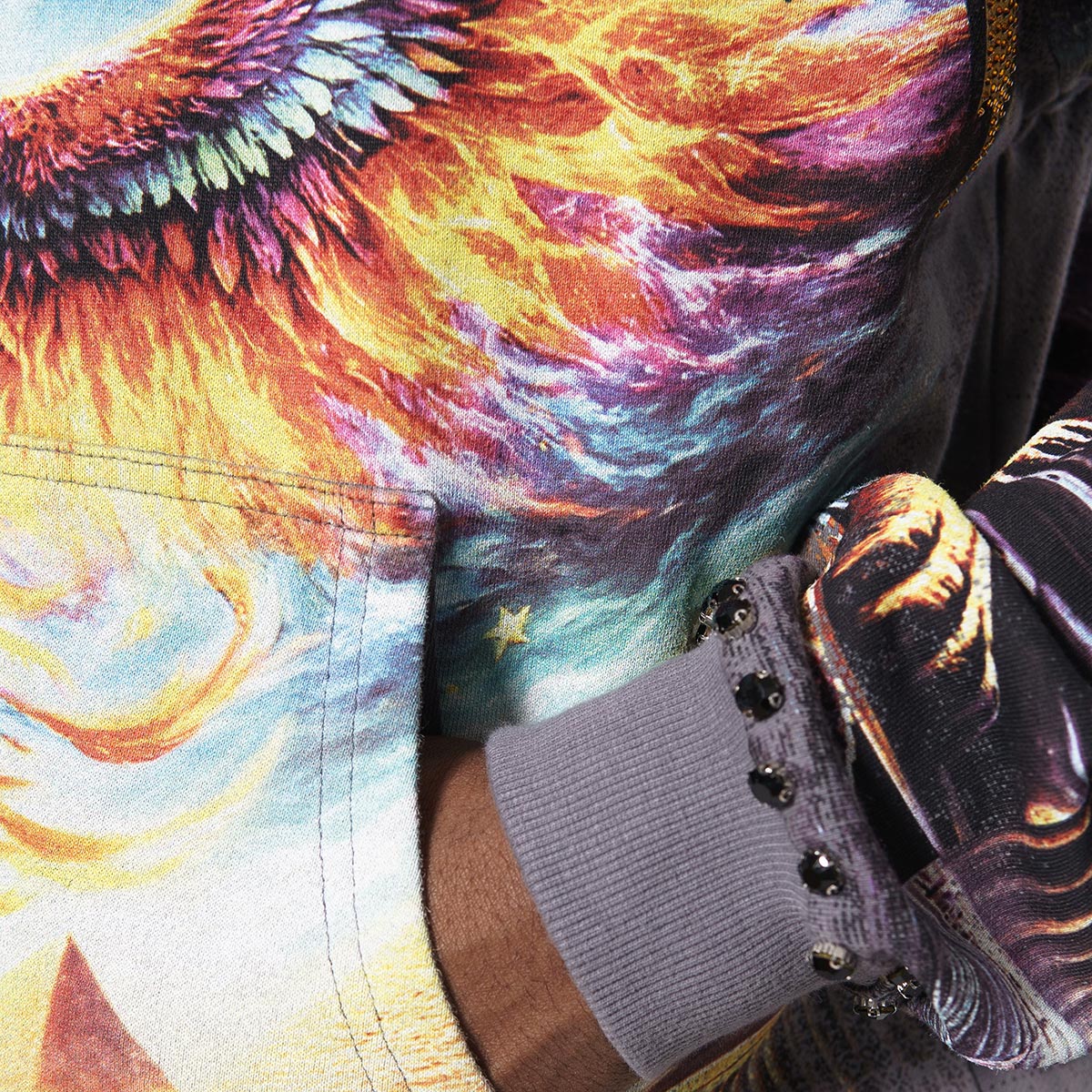 Ambitions stray full-zip hoodie