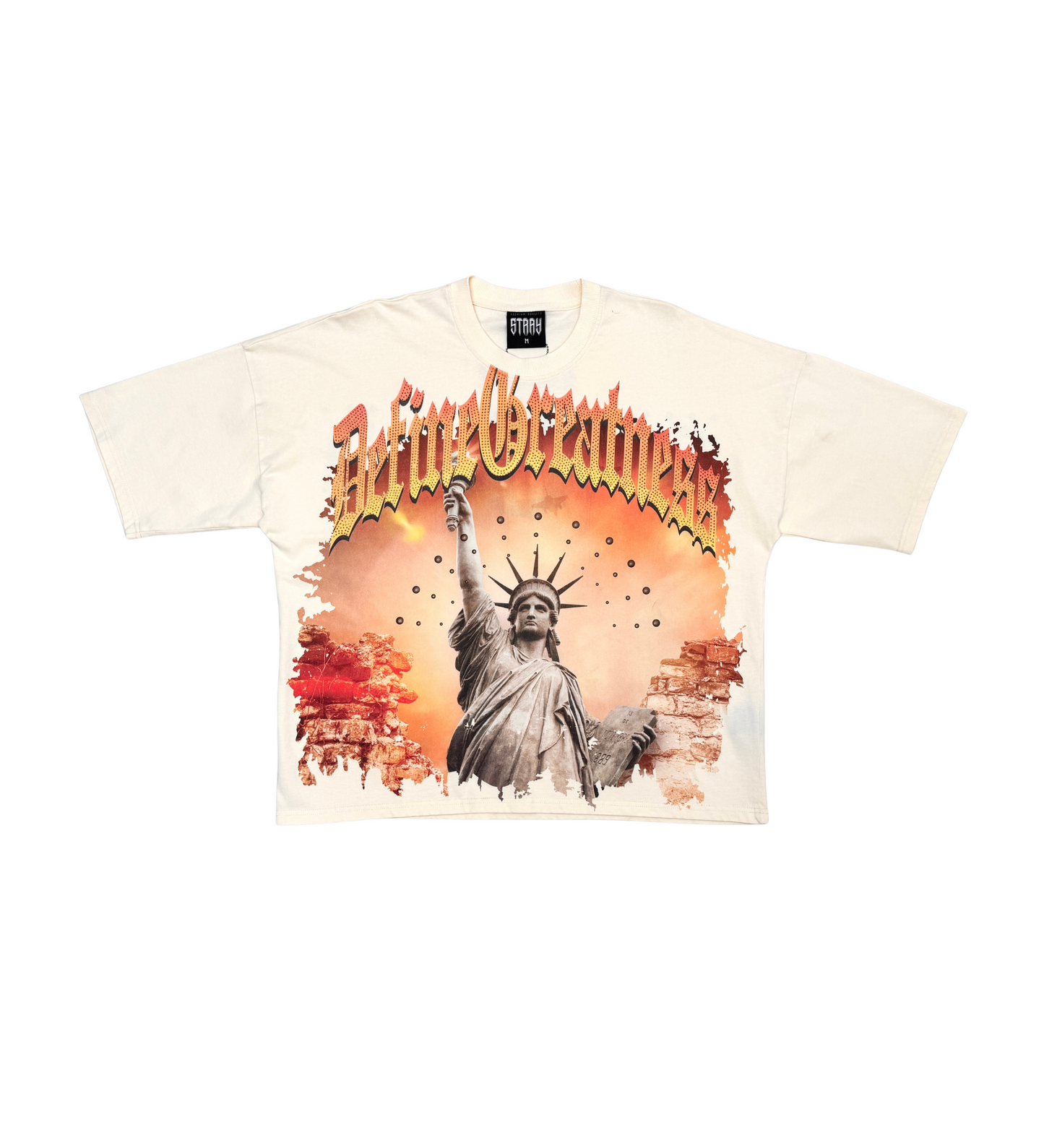 Stray define greatness wide & crop fit tee