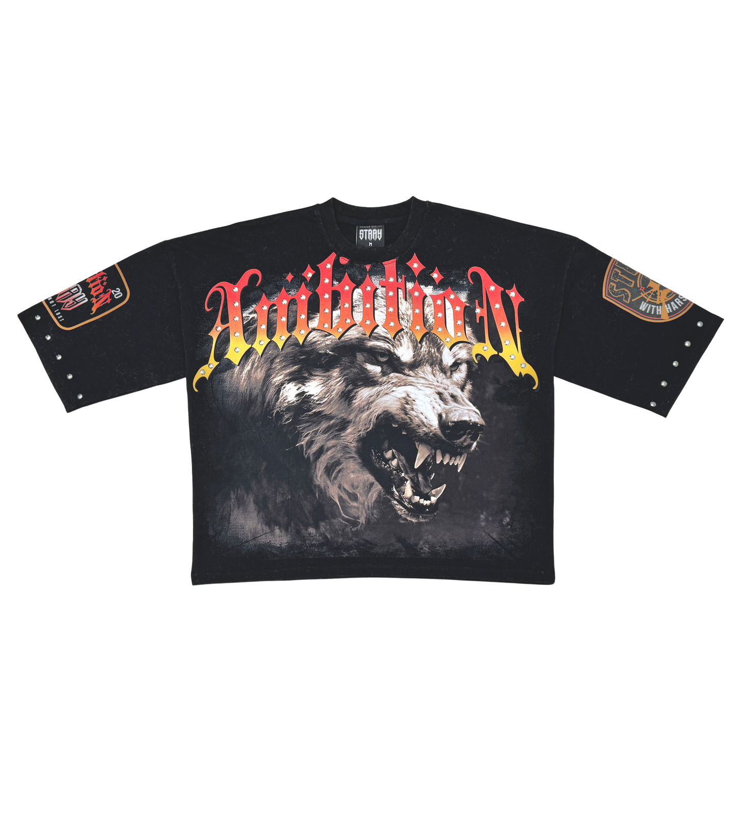 Stray ambitions 3/4 sleeve tee