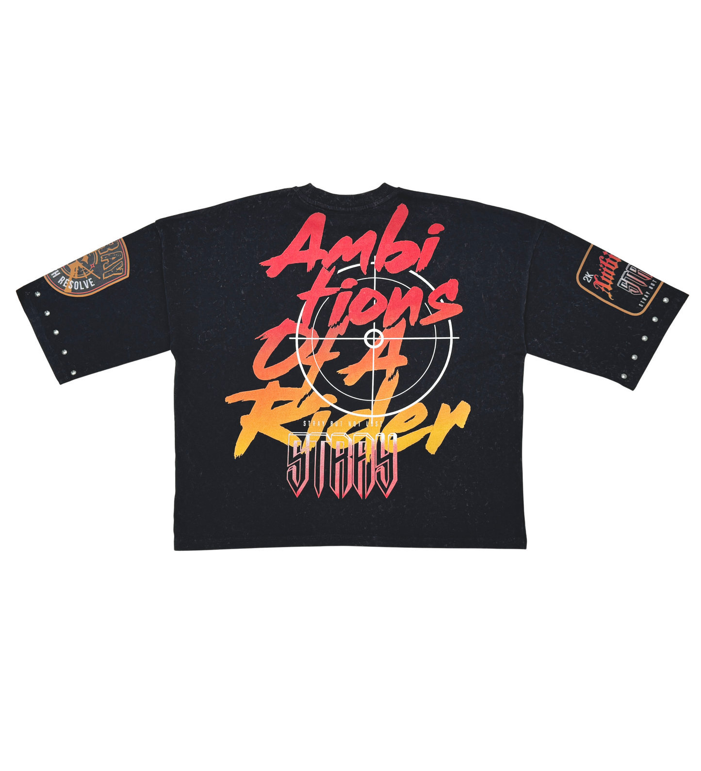 Stray ambitions 3/4 sleeve tee