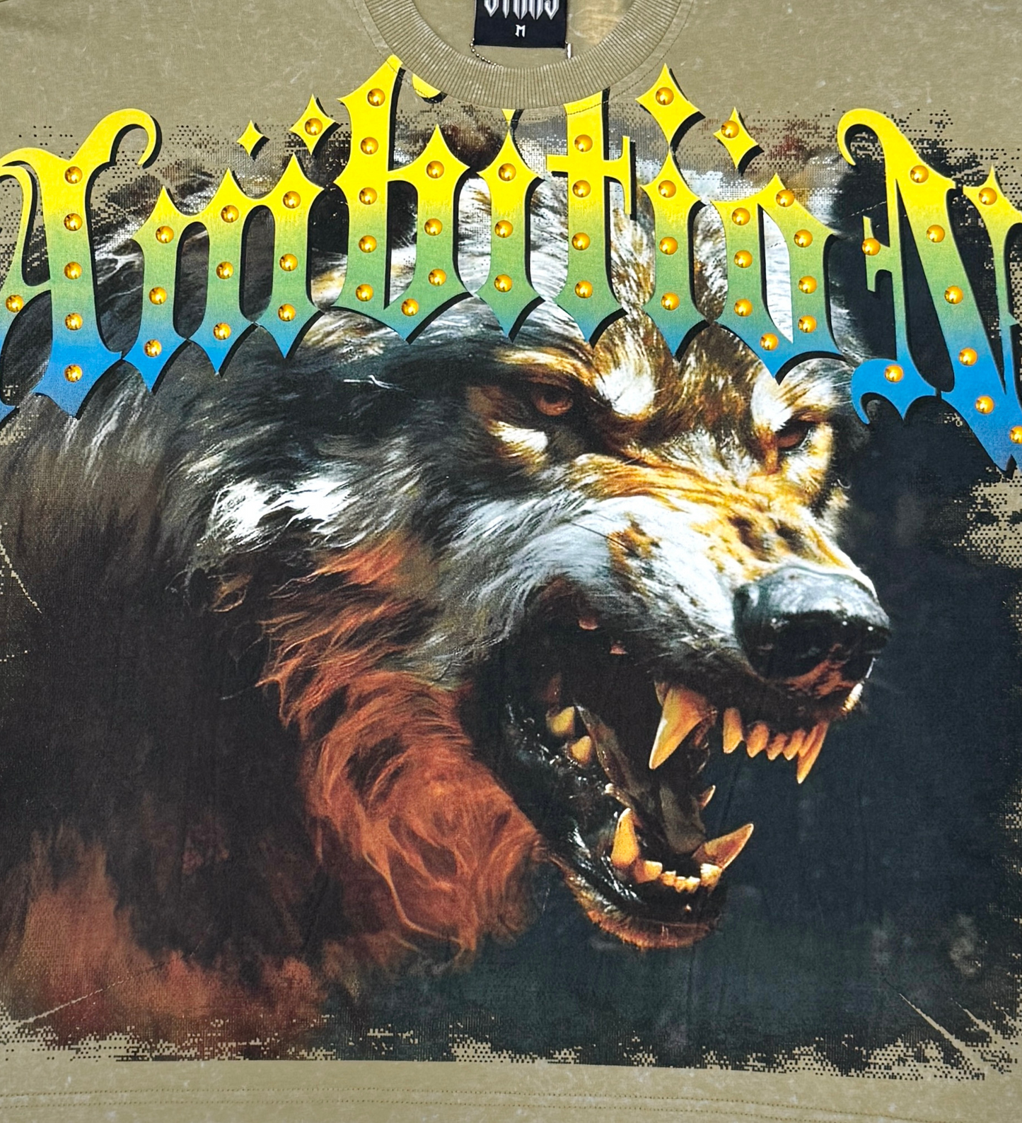 Stray ambitions 3/4 sleeve tee