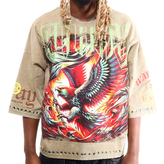 Stray eagle 3/4 sleeve tee