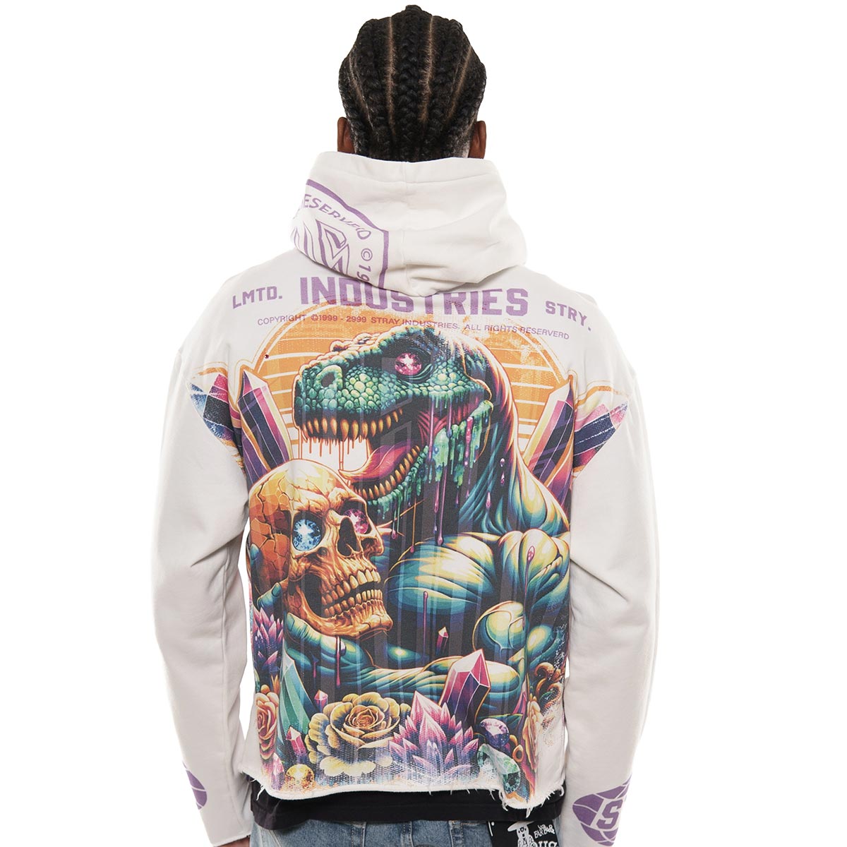 Delusions stray full-zip hoodie by Stray, view 14