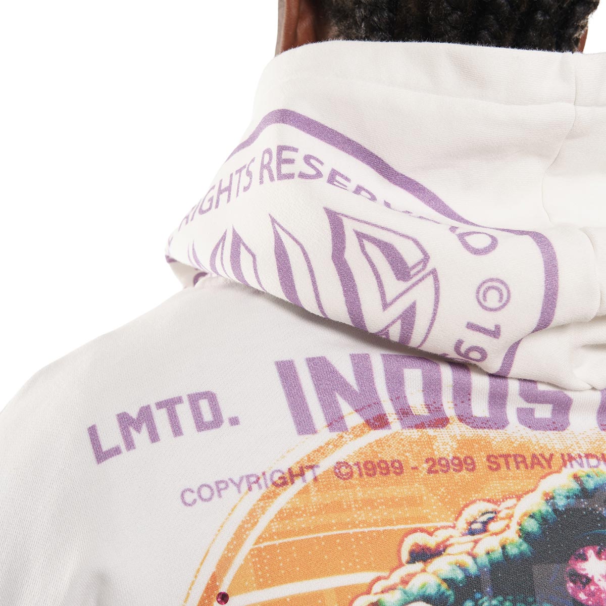 Delusions stray full-zip hoodie by Stray, view 15