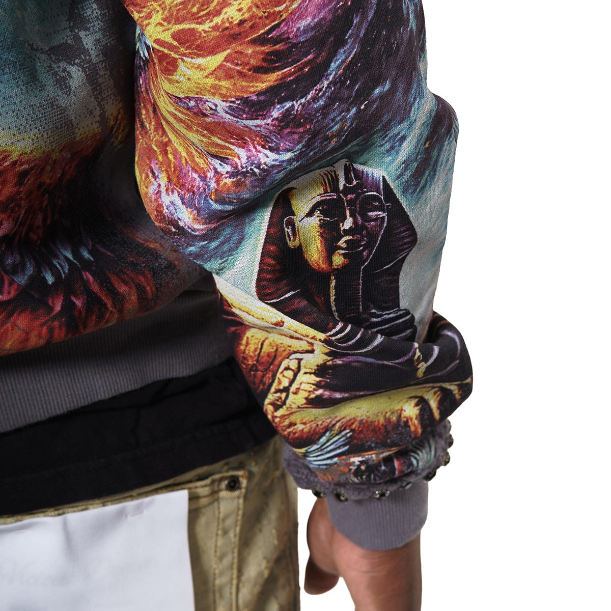 Ambitions stray full-zip hoodie