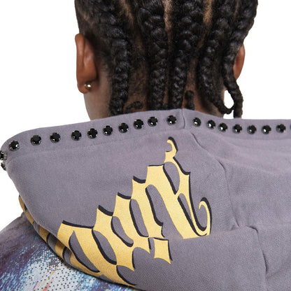 Ambitions stray full-zip hoodie