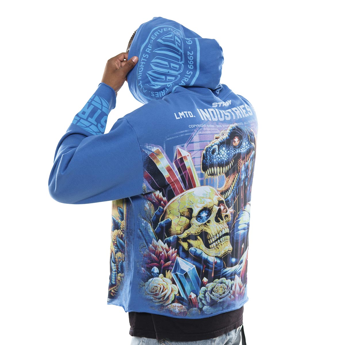Delusions stray full-zip hoodie by Stray, view 25