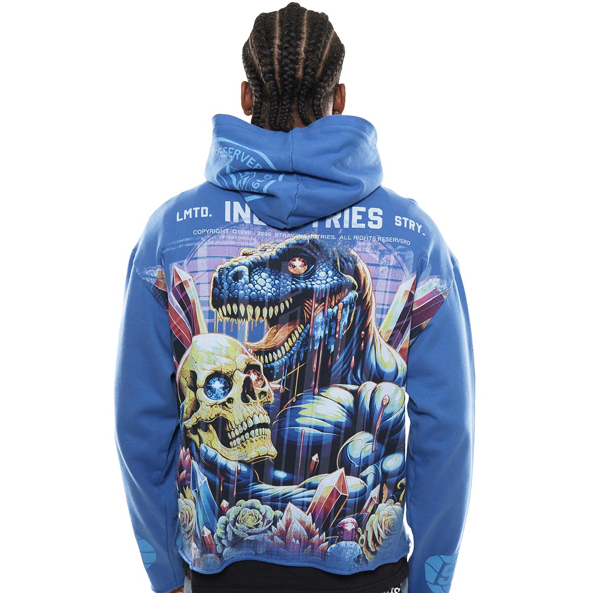 Delusions stray full-zip hoodie by Stray, view 27
