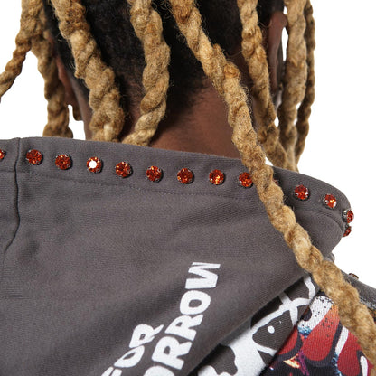 A bold vision stray full-zip hoodie