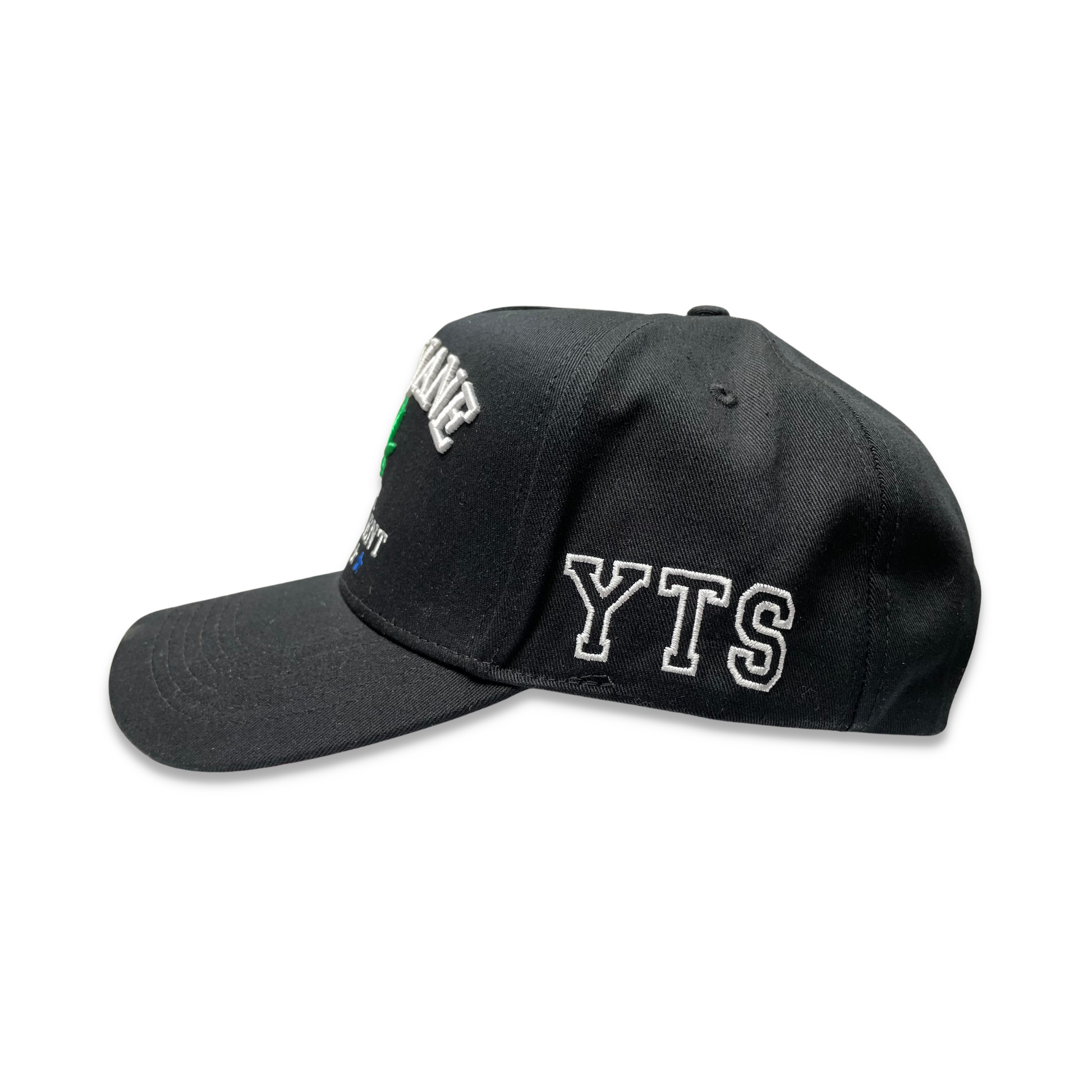 Mary Jane For President Hat - Royal Blue | Your Team Sucks _3