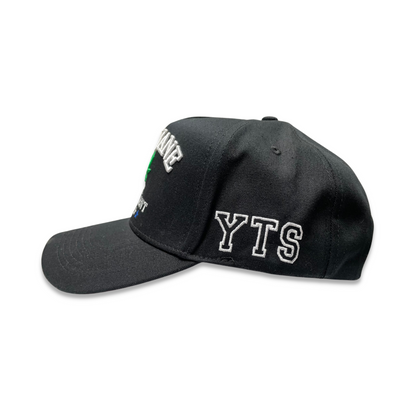 Mary Jane For President Hat - Royal Blue | Your Team Sucks _3