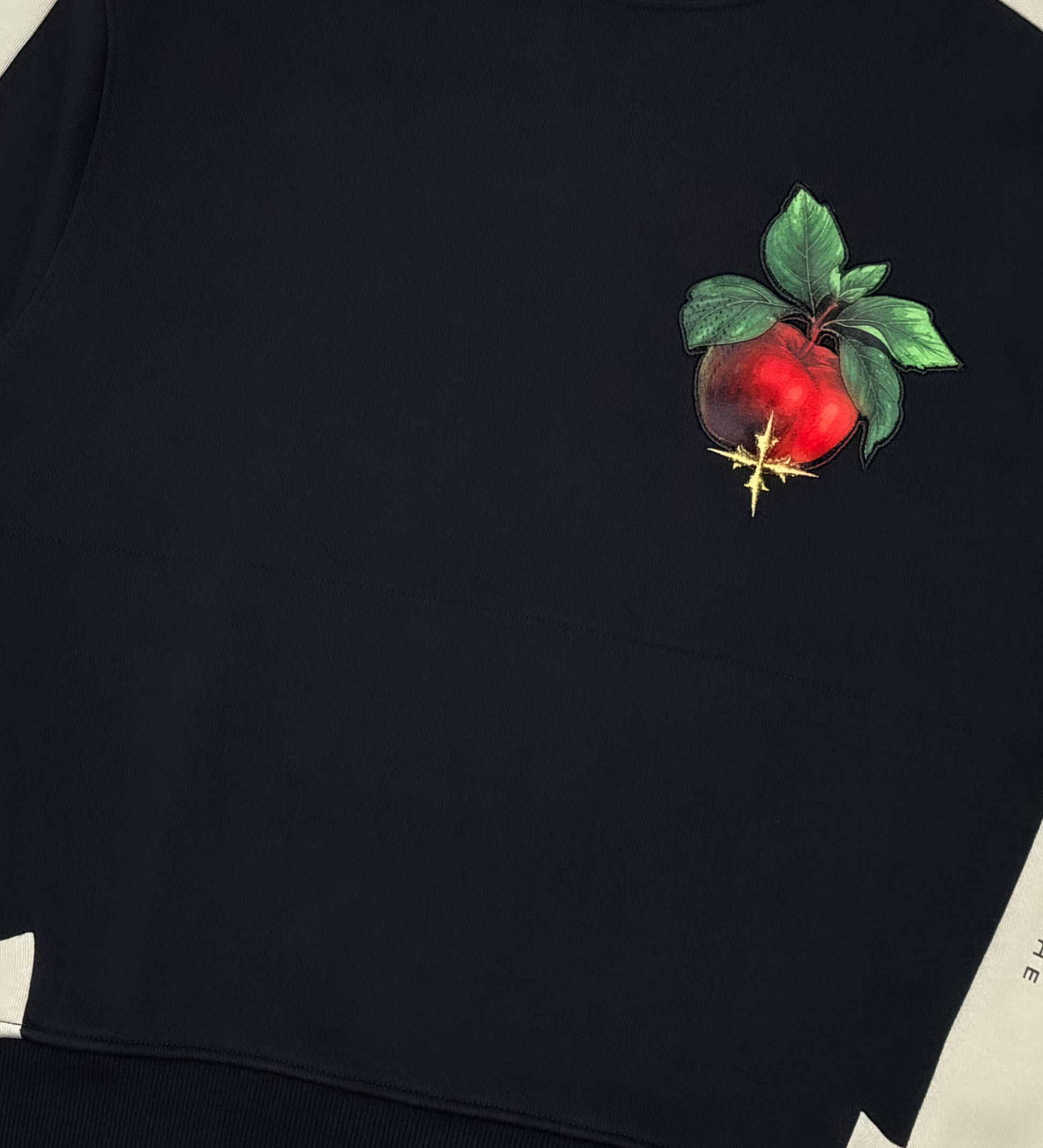 Sinner Crewneck - Black | Vie+Riche
 _3