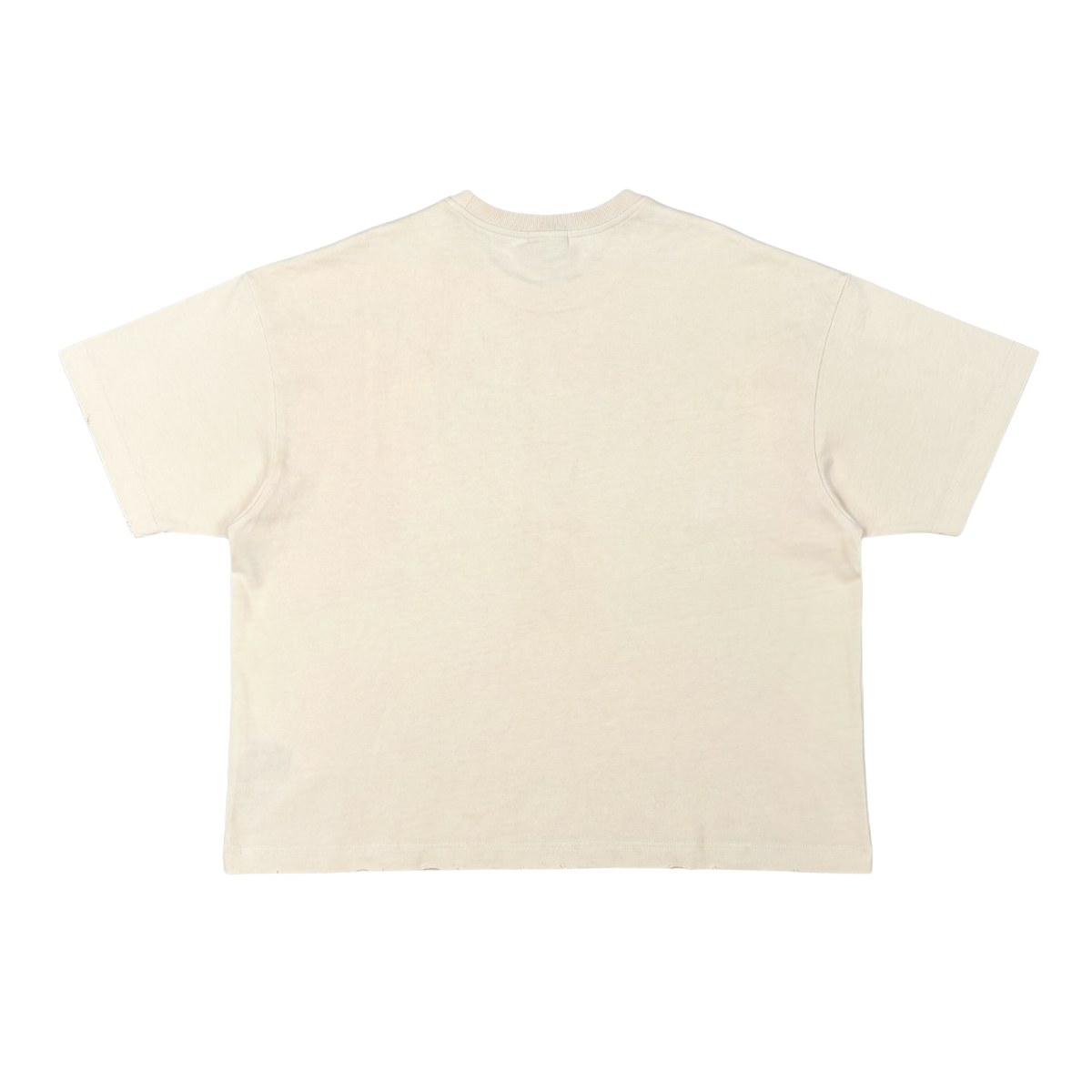 No Pain No Gain Vintage Jesus Graphic Tee by VIERICHEPARIS, view 11
