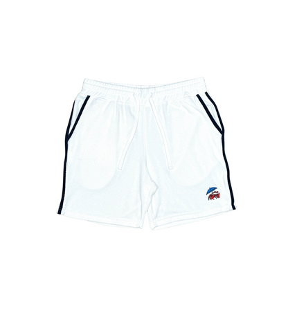 Rtgb terry cloth shorts