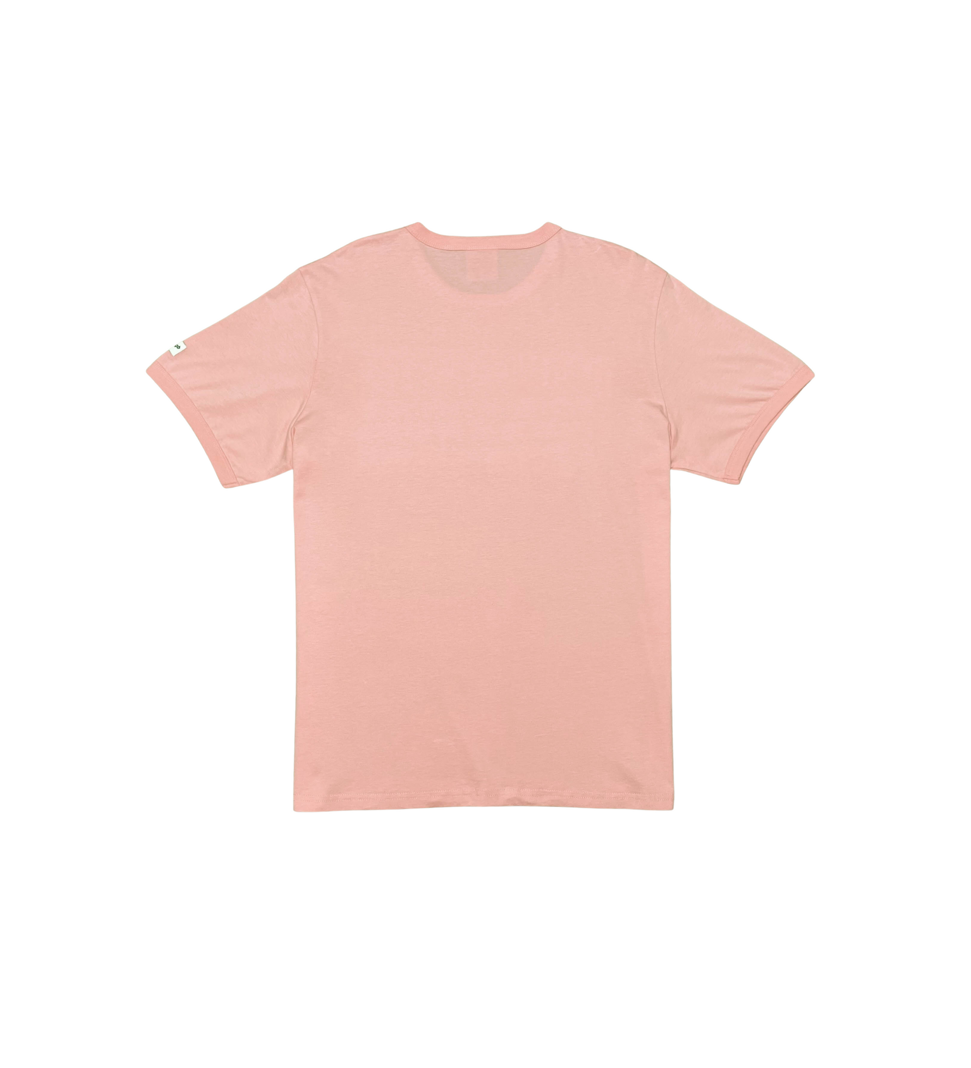 Red Tag Simplified Ambitious Tee - Pastel Green | Red Tag Brand _8