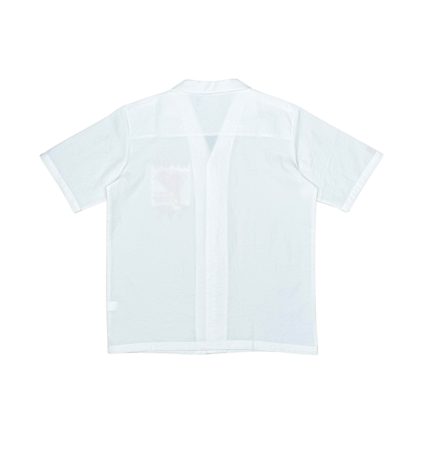 Rtgb button up