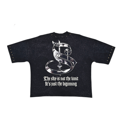 Stray dream big wide & crop fit tee