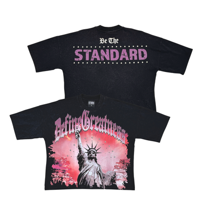 Stray define greatness wide & crop fit tee