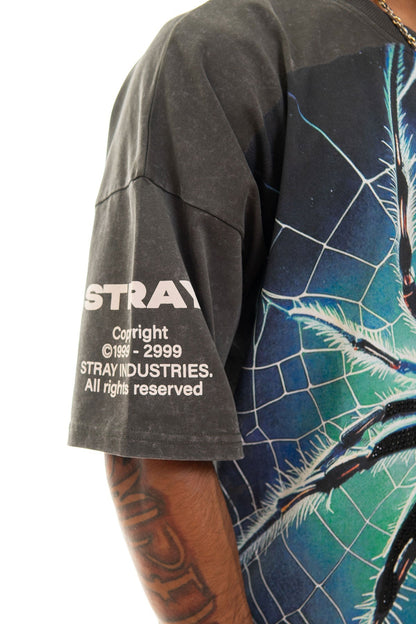 Stray spider wide & crop fit tee Charcoal by Stray - 5