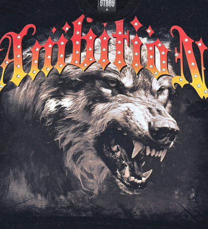 Stray ambitions 3/4 sleeve tee