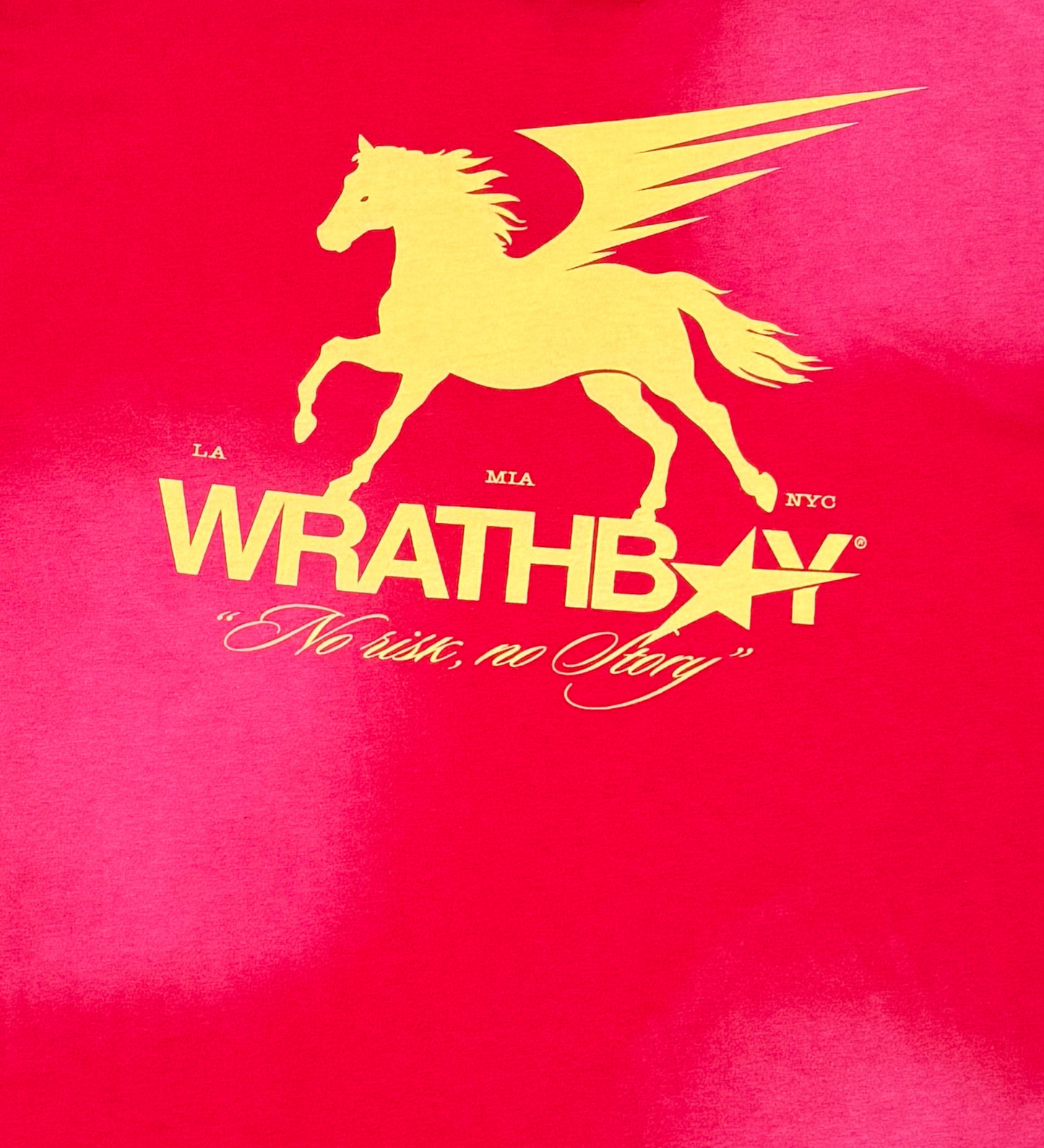 Wrathboy no risk, no story tee