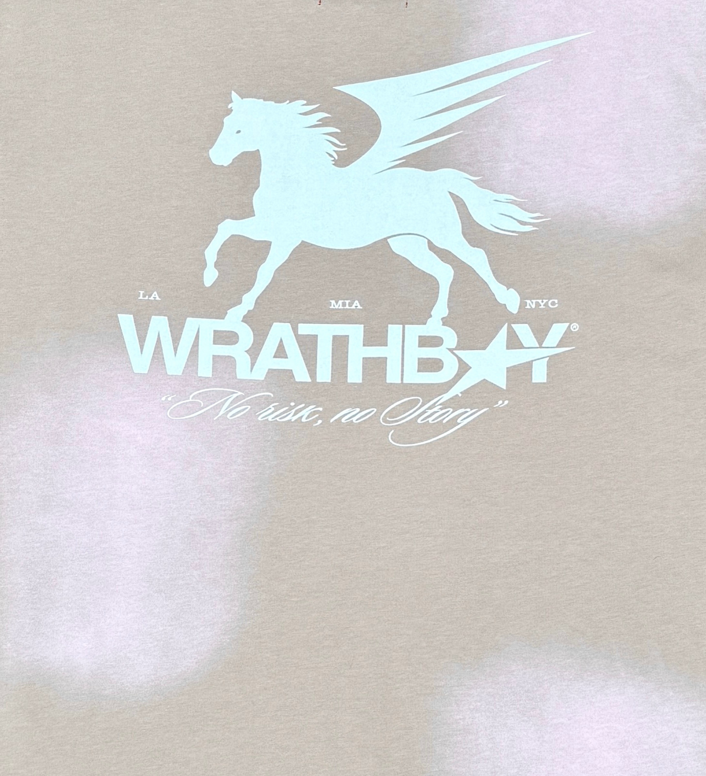 Wrathboy no risk, no story tee