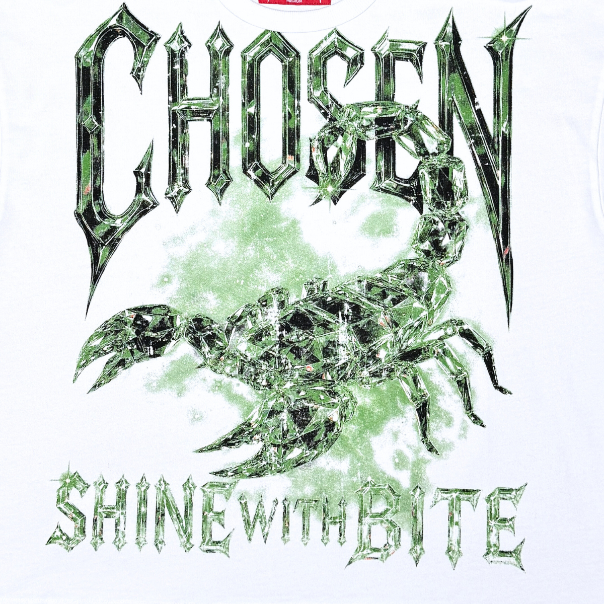 Chosen Scorpion Tee by Chosen, view 9