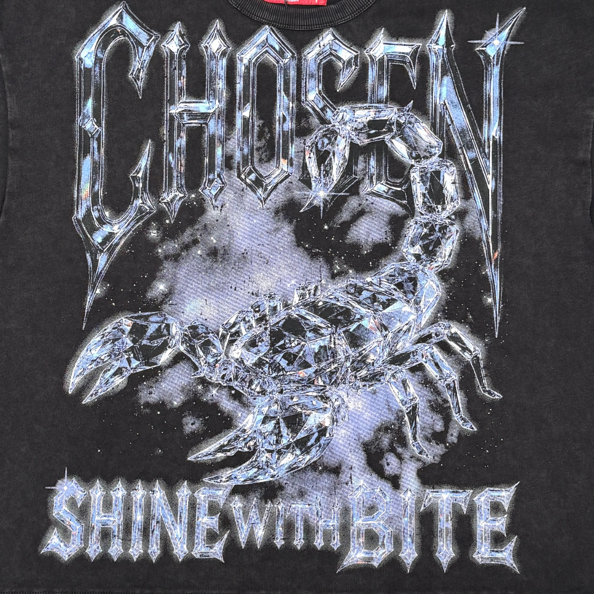 Chosen Scorpion Tee by Chosen, view 4