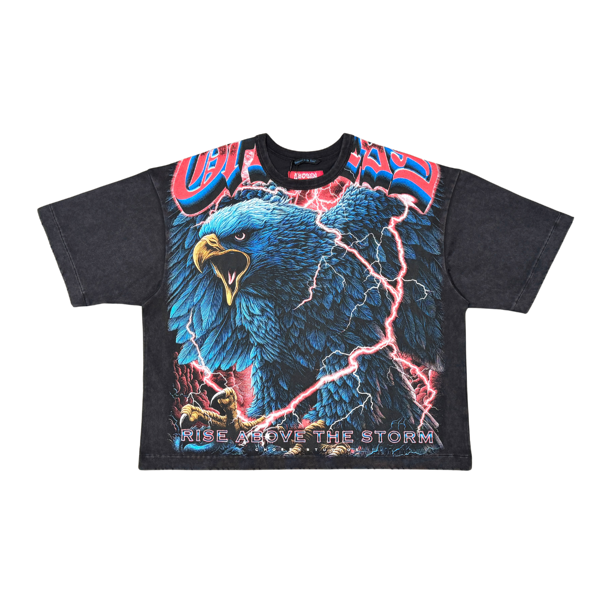 Chosen Eagle Tee by VIERICHEPARIS, view 2