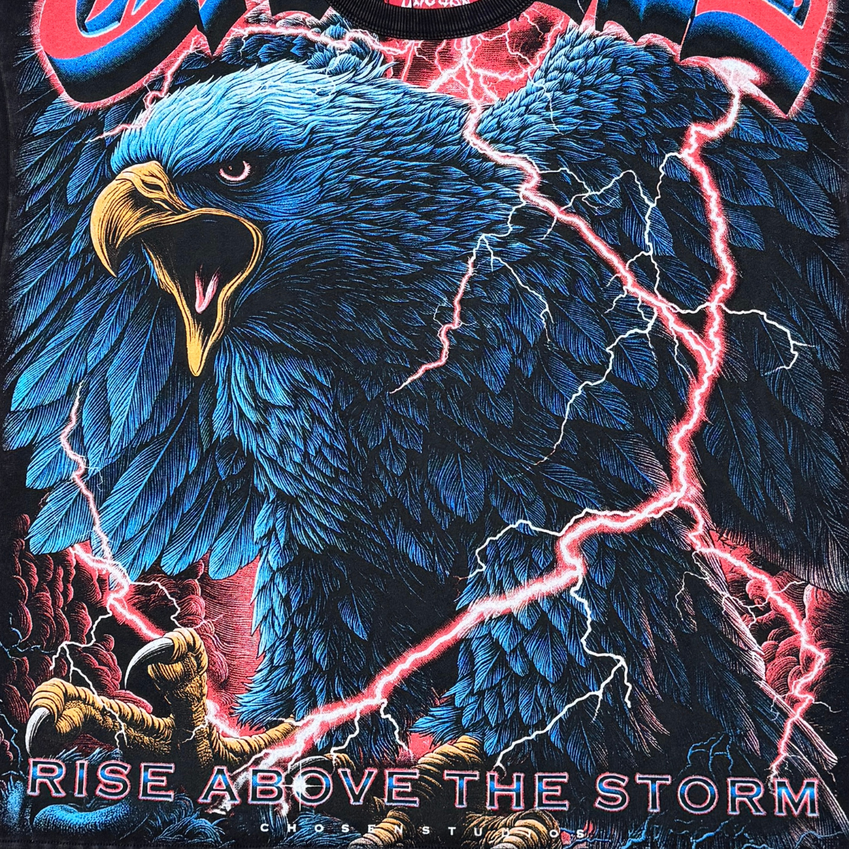 Chosen Eagle Tee by VIERICHEPARIS, view 4